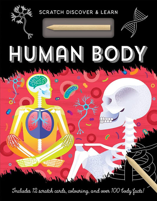 Marissa's Books & Gifts, LLC 9781801051347 Hardcover Human Body: Scratch, Discover & Learn