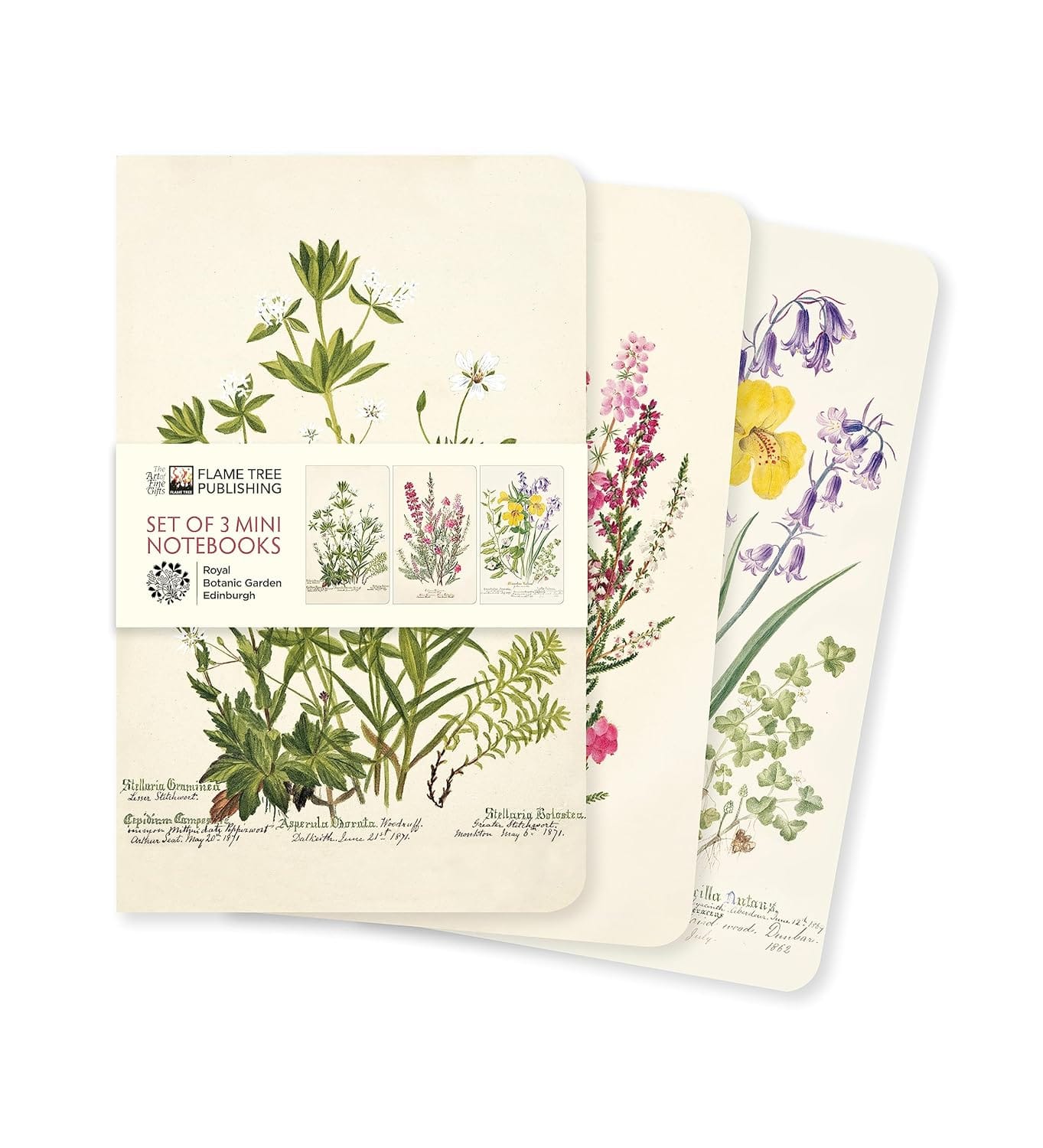 Marissa's Books & Gifts, LLC 9781804176429 Mini Notebooks Royal Botanic Garden Edinburgh Set of 3 Mini Notebooks