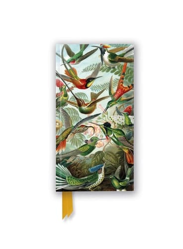 Marissa's Books & Gifts, LLC 9781804179161 Lined Slimline Journal Ernst Haeckel: Hummingbirds (Foiled Slimline Journal)
