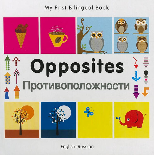 Marissa's Books & Gifts, LLC 9781840597424 My First Bilingual Book–Opposites (English–Russian)