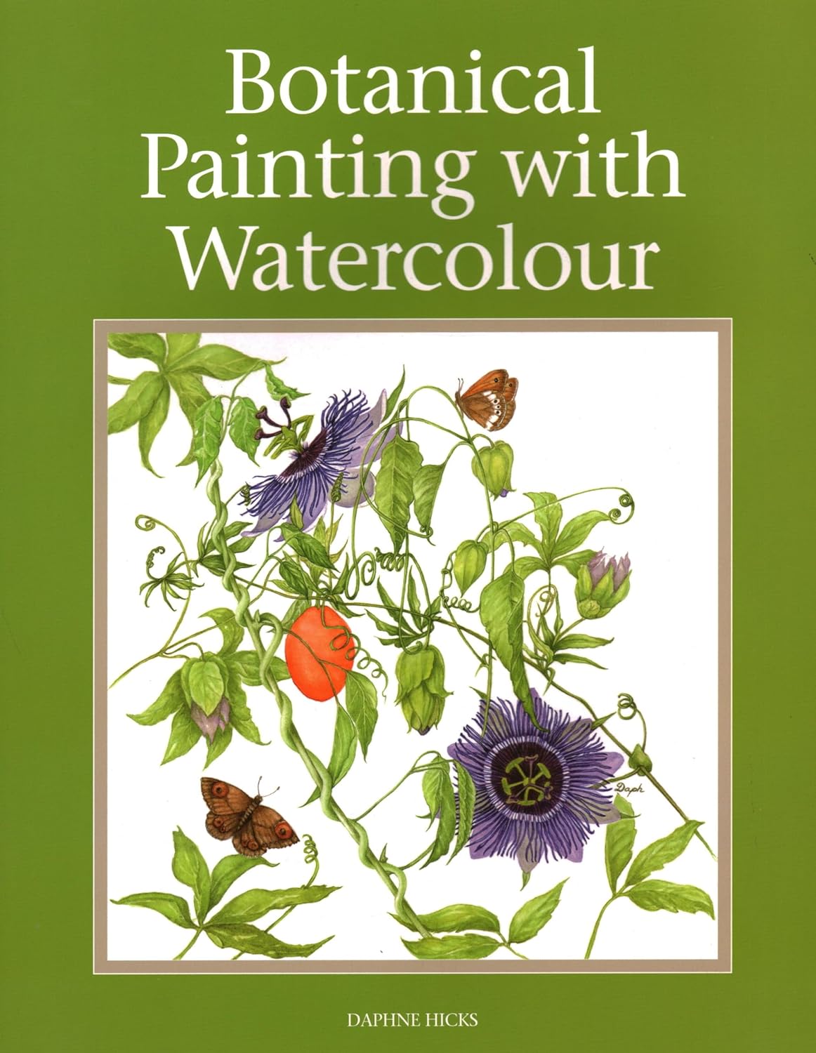 Marissa's Books & Gifts, LLC 9781847978004 Paperback Botanical Painting with Watercolour