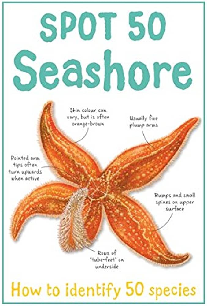 Marissa's Books & Gifts, LLC 9781848109063 Spot 50 Seashore