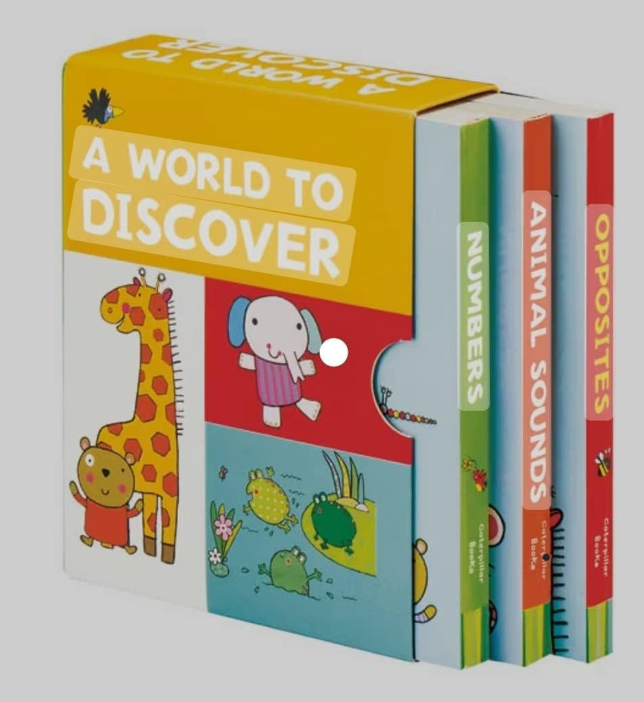 Marissa's Books & Gifts, LLC 9781848577404 A World to Discover (3 Book Set)