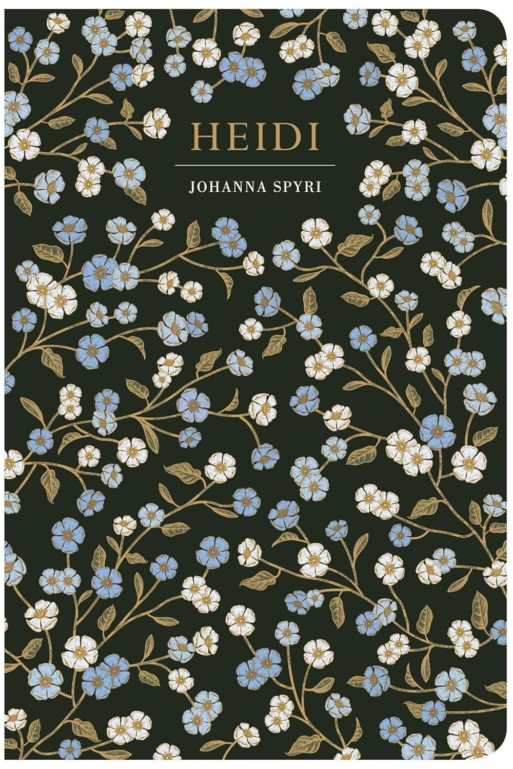 Marissa's Books & Gifts 9781914602597 Hardcover Heidi (Chiltern Classics)