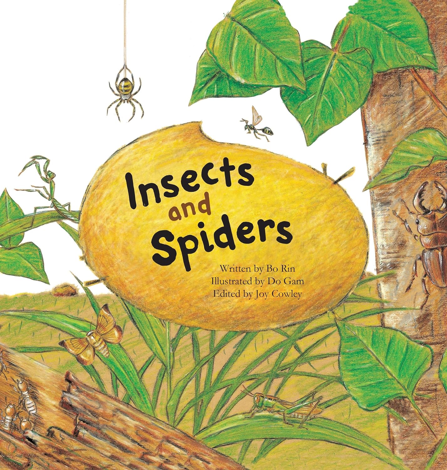 Marissa's Books & Gifts, LLC 9781925233612 Insects and Spiders