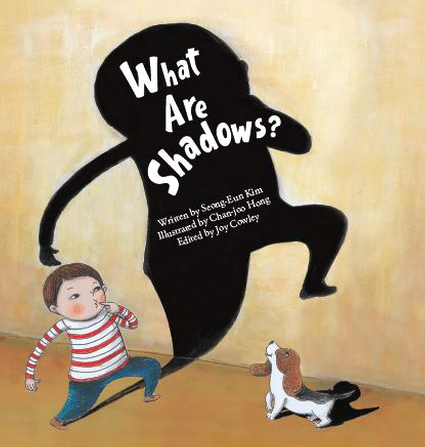 What Are Shadows? (Science Storybooks)
