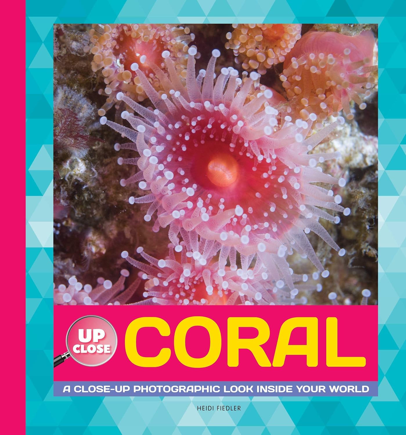 Marissa's Books & Gifts, LLC 9781942875352 Coral: A Close-up Photographic Look Inside Your World