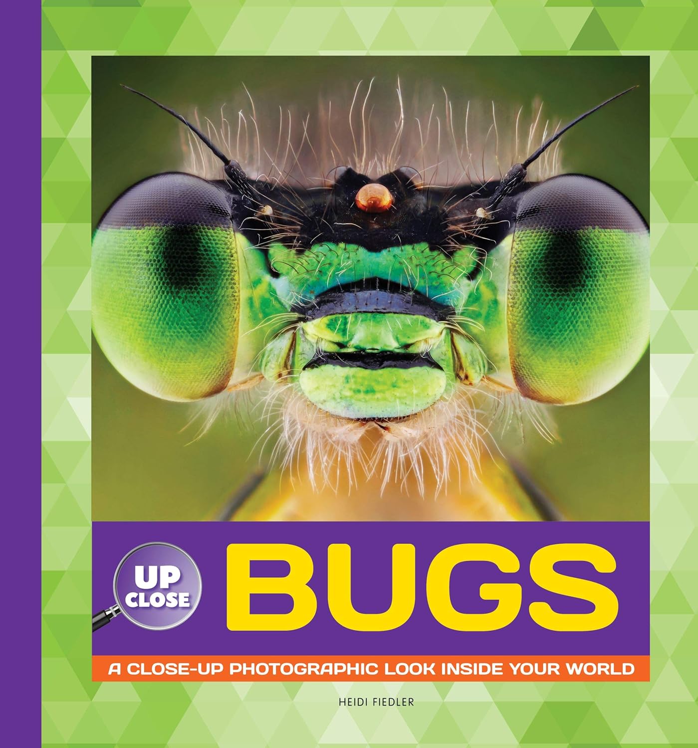 Marissa's Books & Gifts, LLC 9781942875369 Bugs: A Close-Up Photographic Look Inside Your World