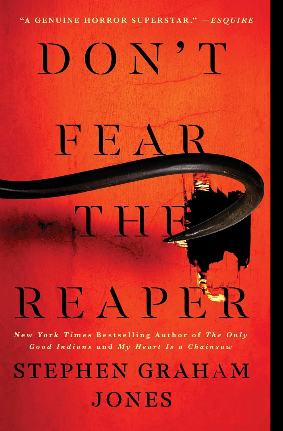 Marissa's Books & Gifts, LLC 9781982186609 Paperback Don't Fear the Reaper (The Indian Lake Trilogy, Book 2)