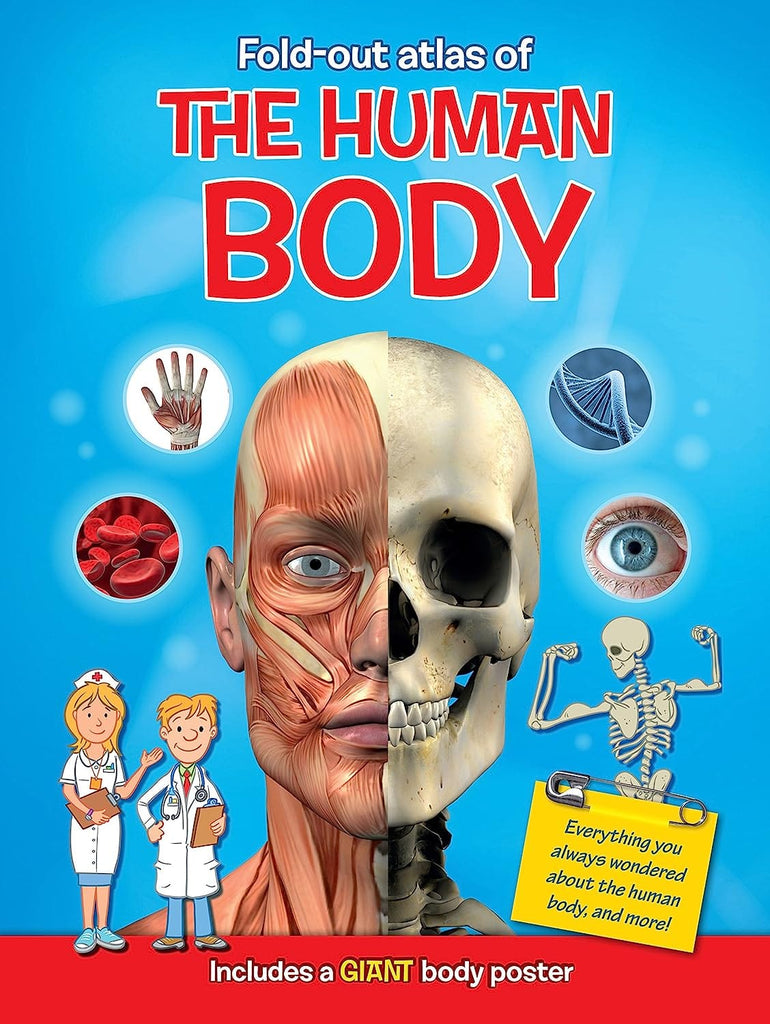 Marissa's Books & Gifts, LLC 9789461959058 Fold-Out Atlas of the Human Body