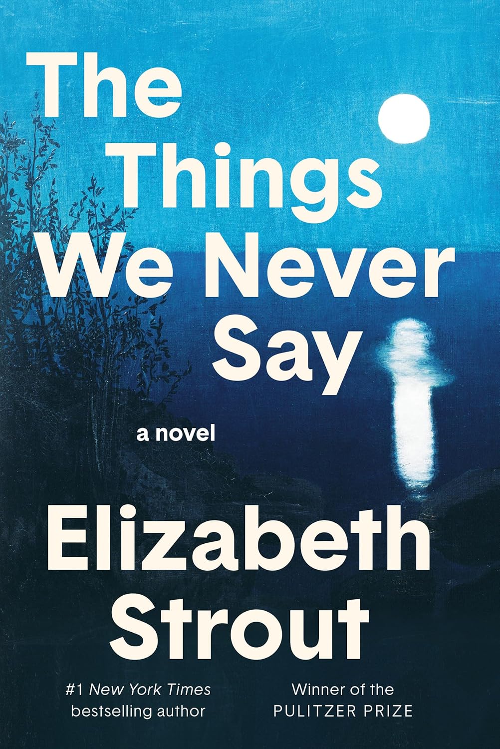 Marissa's Books & Gifts 9798217154746 Hardcover The Things We Never Say