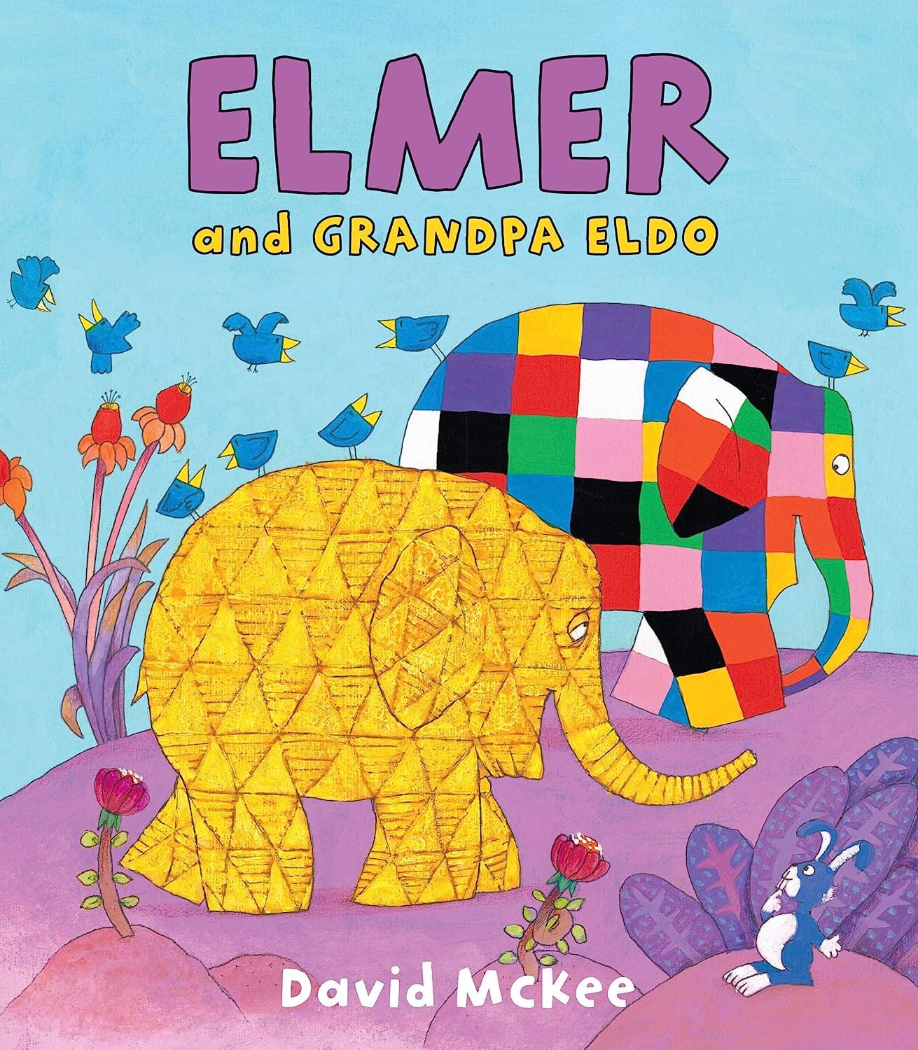 Marissa's Books & Gifts, LLC Elmer Collection (9 Books)