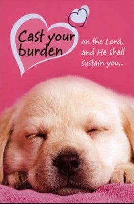 Marissa's Books & Gifts, LLC 369083100708 Cast Your Burden (Journal)