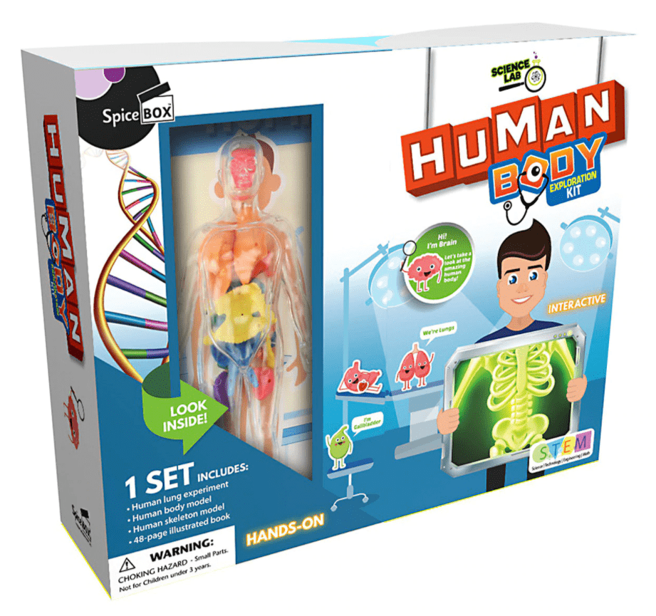 Marissa's Books & Gifts, LLC 628992010595 Human Body Exploration Kit