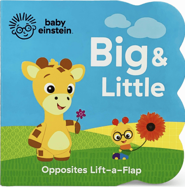 Marissa's Books & Gifts, LLC 80940361 Baby Einstein Mini Learning Library (4 Books)