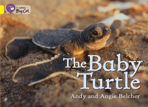 Marissa's Books & Gifts, LLC 9780007475612 The Baby Turtle