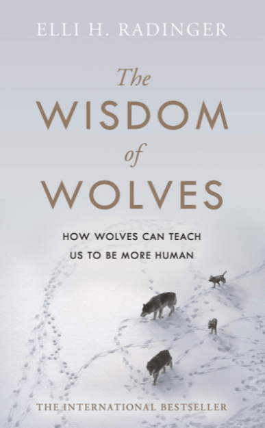 Marissa's Books & Gifts, LLC 9780241346716 The Wisdom of Wolves: How Wolves Can Teach Us to Be More Human