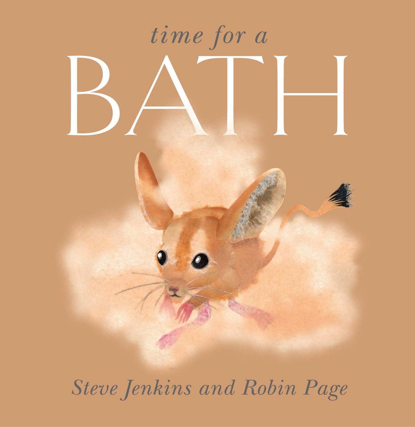 Marissa's Books & Gifts, LLC 9780547250373 Time for a Bath