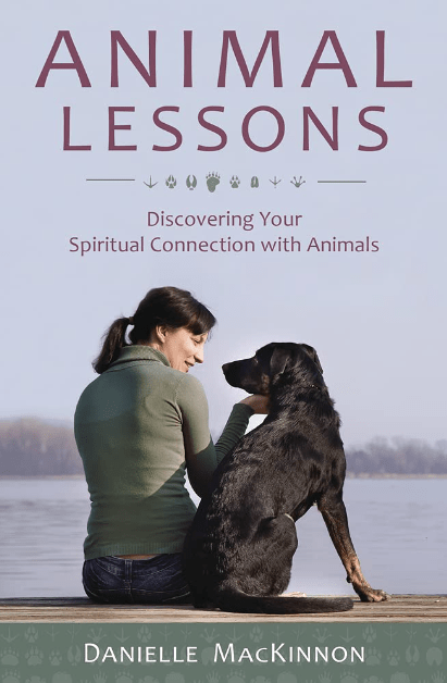 Marissa's Books & Gifts, LLC 9780738751351 Animal Lessons: Discovering Your Spiritual Connection with Animals