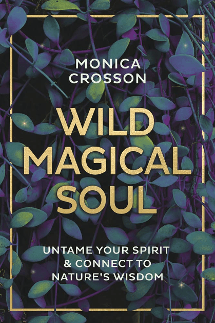 Marissa's Books & Gifts, LLC 9780738760575 Wild Magical Soul: Untame Your Spirit & Connect to Nature's Wisdom
