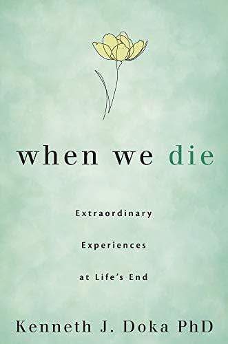 Marissa's Books & Gifts, LLC 9780738762937 When We Die