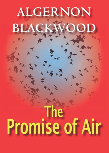 Marissa's Books & Gifts, LLC 9780755115686 The Promise of Air