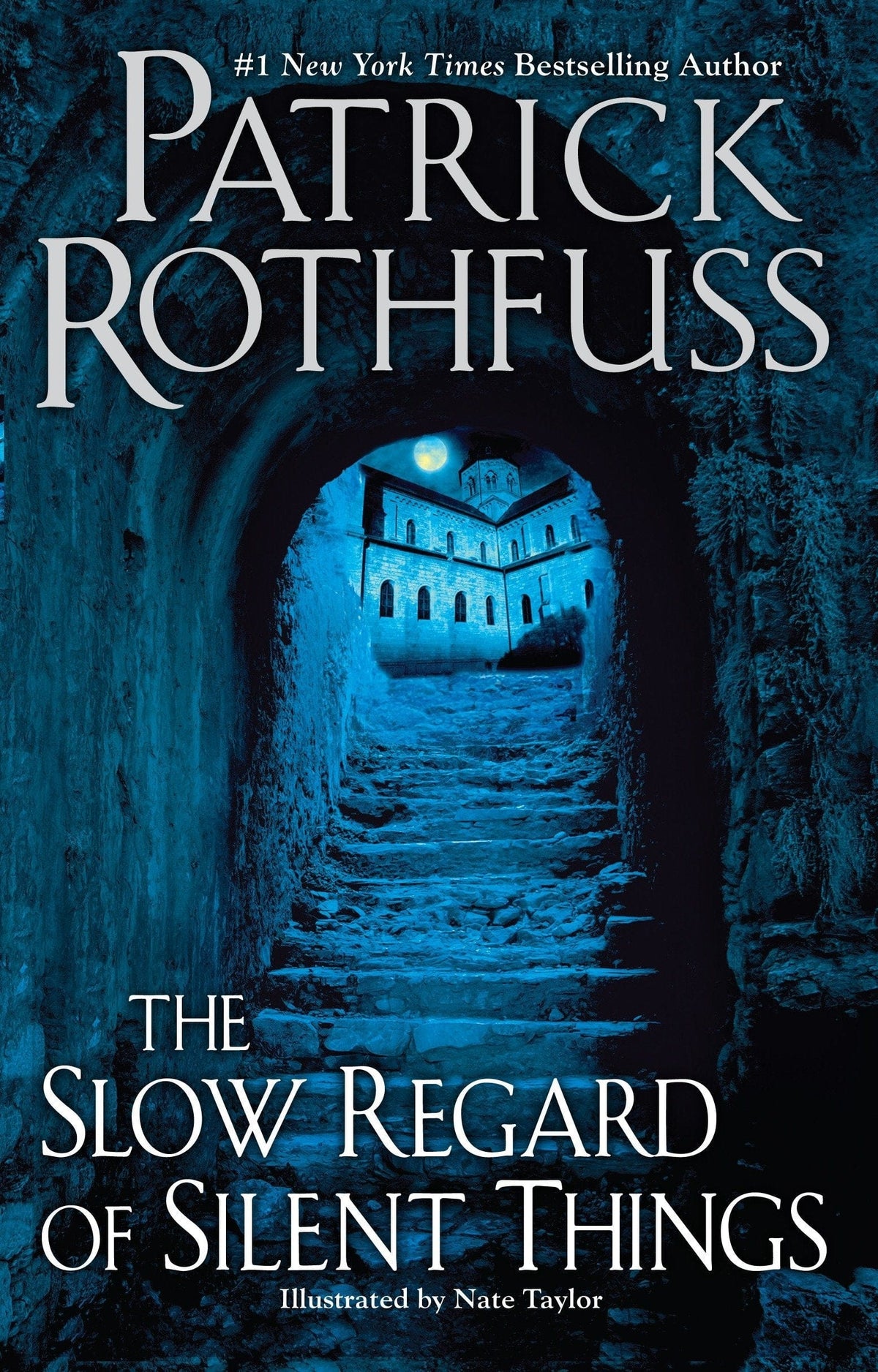 Marissa's Books & Gifts, LLC 9780756411329 The Slow Regard of Silent Things