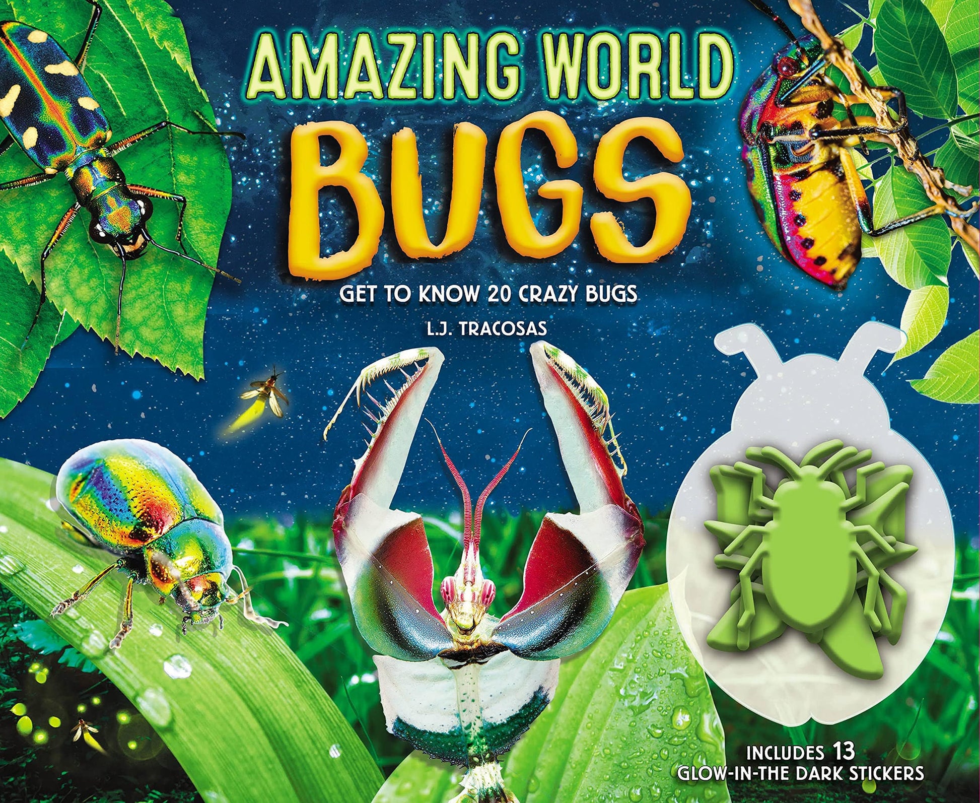 Marissa's Books & Gifts, LLC 9780760360354 Amazing World Bugs: Get to Know 20 Crazy Bugs