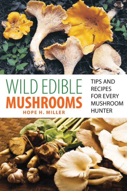 Marissa's Books & Gifts, LLC 9780762771431 Wild Edible Mushrooms: Tips and Recipes for Every Mushroom Hunter