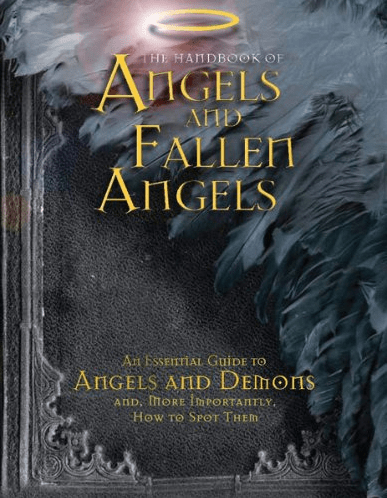 fallen angels book