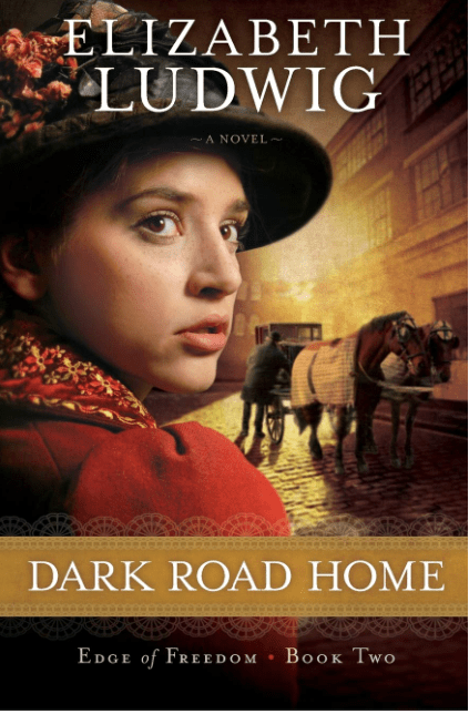 Marissa's Books & Gifts, LLC 9780764210402 Dark Road Home: Edge of Freedom (Book 2)