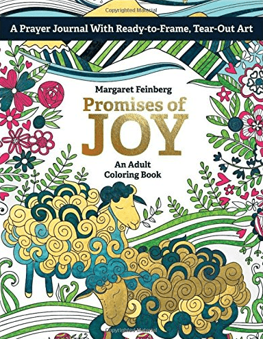 Marissa's Books & Gifts, LLC 9780764219450 Promises of Joy: An Adult Coloring Book