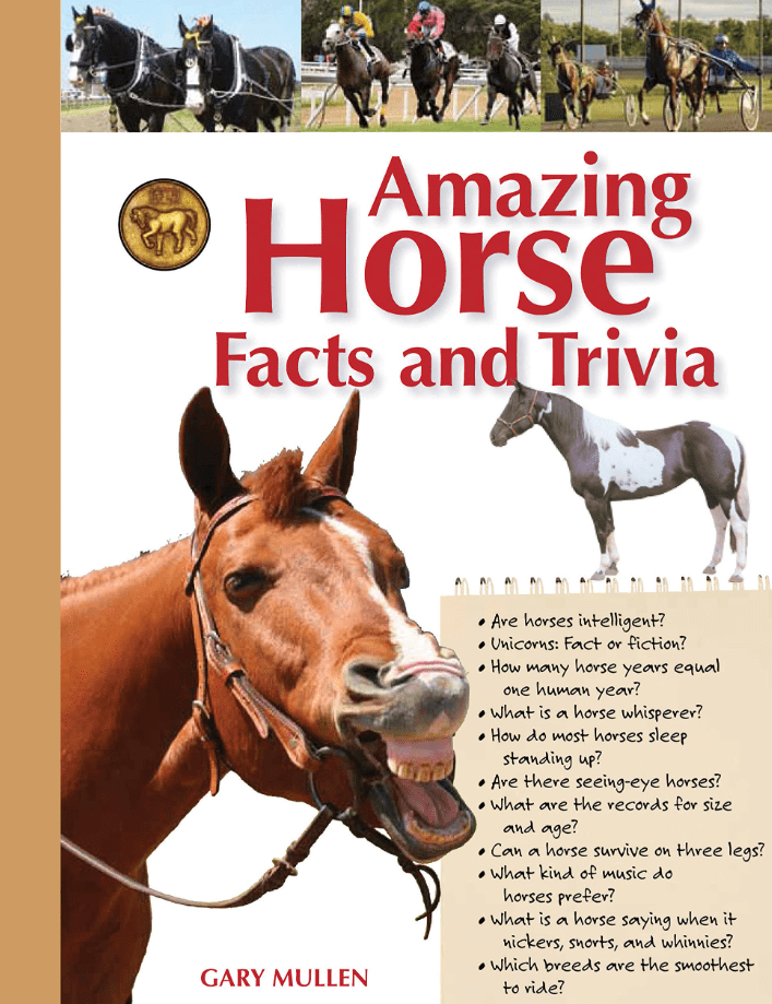 Marissa's Books & Gifts, LLC 9780785833390 Amazing Horse Facts and Trivia : An Illustrated Guide to the Equine World