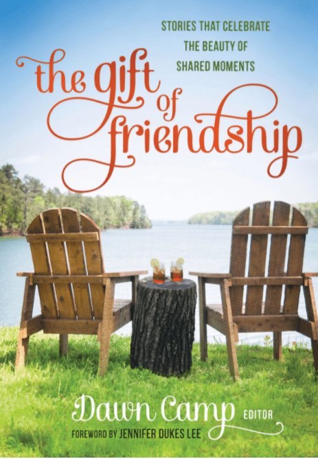 Marissa's Books & Gifts, LLC 9780800723804 The Gift of Friendship: Stories That Celebrate the Beauty of Shared Moments