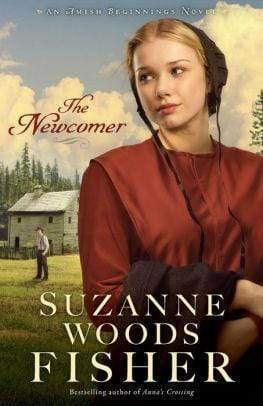 The Newcomer (Amish Beginnings Series #2)