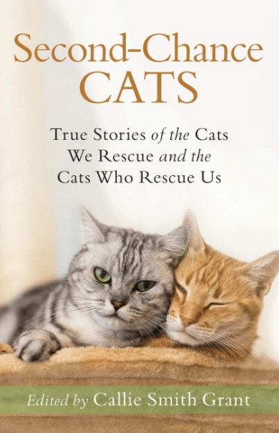 Marissa's Books & Gifts, LLC 9780800735722 Second-Chance Cats: True Stories of the Cats We Rescue and the Cats Who Rescue Us