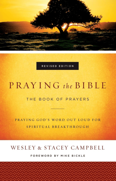 Marissa's Books & Gifts, LLC 9780800798031 Praying the Bible: The Book of Prayers