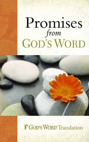 Marissa's Books & Gifts, LLC 9780801072291 Promises from God's Word