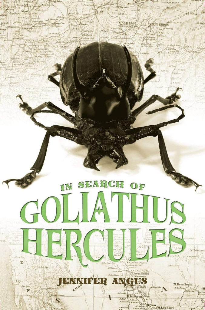 In Search of Goliathus Hercules