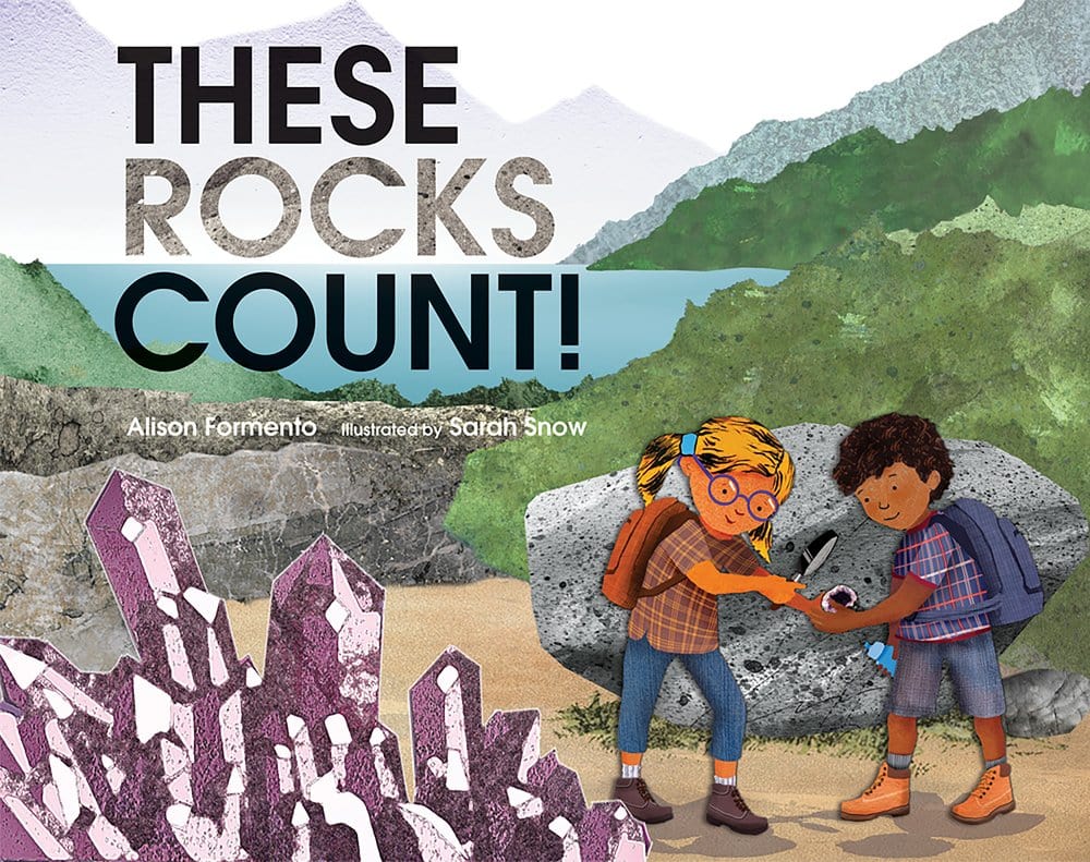 Marissa's Books & Gifts, LLC 9780807578704 These Rocks Count!
