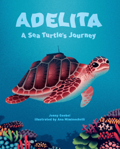 Marissa's Books & Gifts, LLC 9780807581148 Adelita: A Sea Turtle's Journey