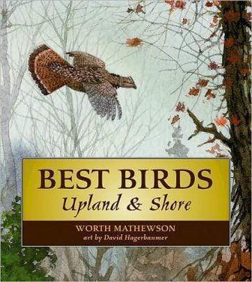 Best Birds Upland and Shore