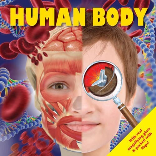 Marissa's Books & Gifts, LLC 9780857347183 My Human Body Fact Pack