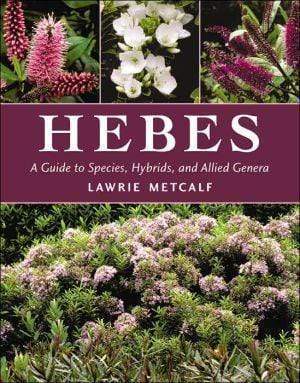 Hebes : A Guide to Species, Hybrids, and Allied Genera