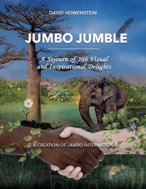 Marissa's Books & Gifts, LLC 9780999466124 Jumbo Jumble: A Sojourn of 360 Visual and Inspirational Delights