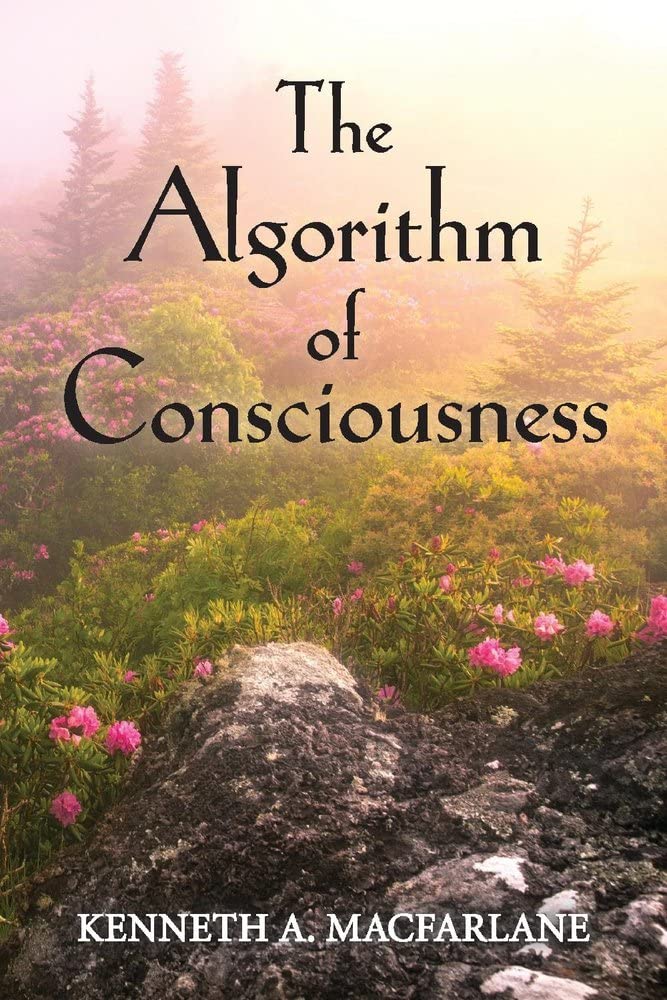 Marissa's Books & Gifts, LLC 9781098336134 The Algorithm of Consciousness