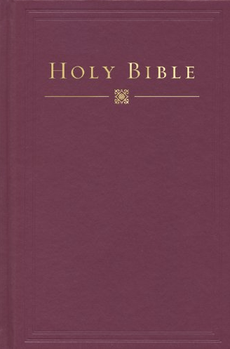 Marissa's Books & Gifts, LLC 9781433603112 HCSB Study Holy Bible