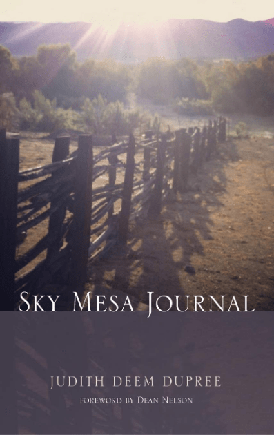 Marissa's Books & Gifts, LLC 9781498289672 Sky Mesa Journal