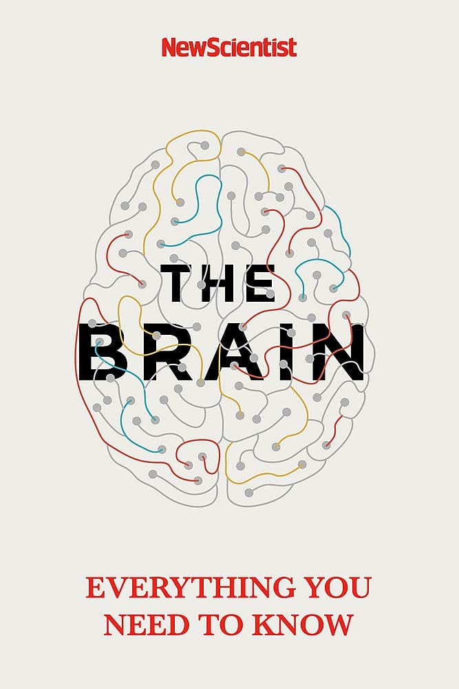 Marissa's Books & Gifts, LLC 9781529363319 The Brain: A User's Guide to the Supercomputer Inside Your Head