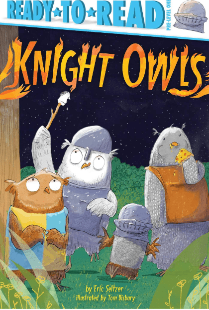 Marissa's Books & Gifts, LLC 9781534448810 Knight Owls: Ready-to-Read Pre-Level 1